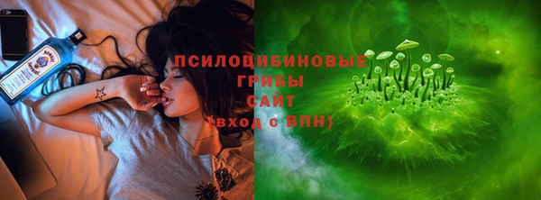 прущая мука Алзамай
