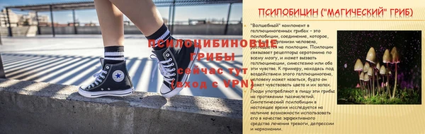 МДПВ Алексин